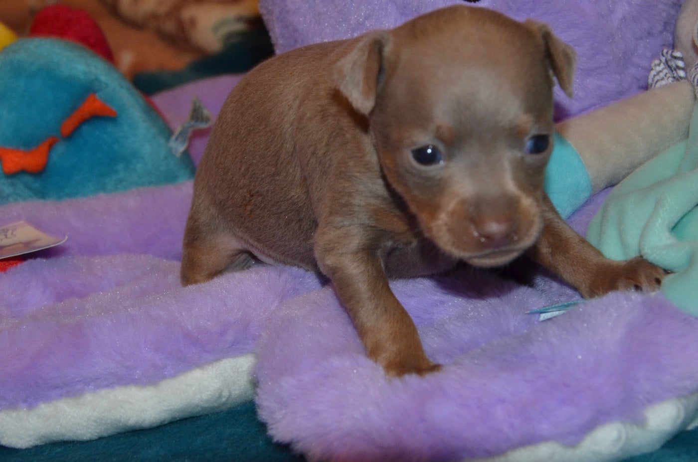 A......................