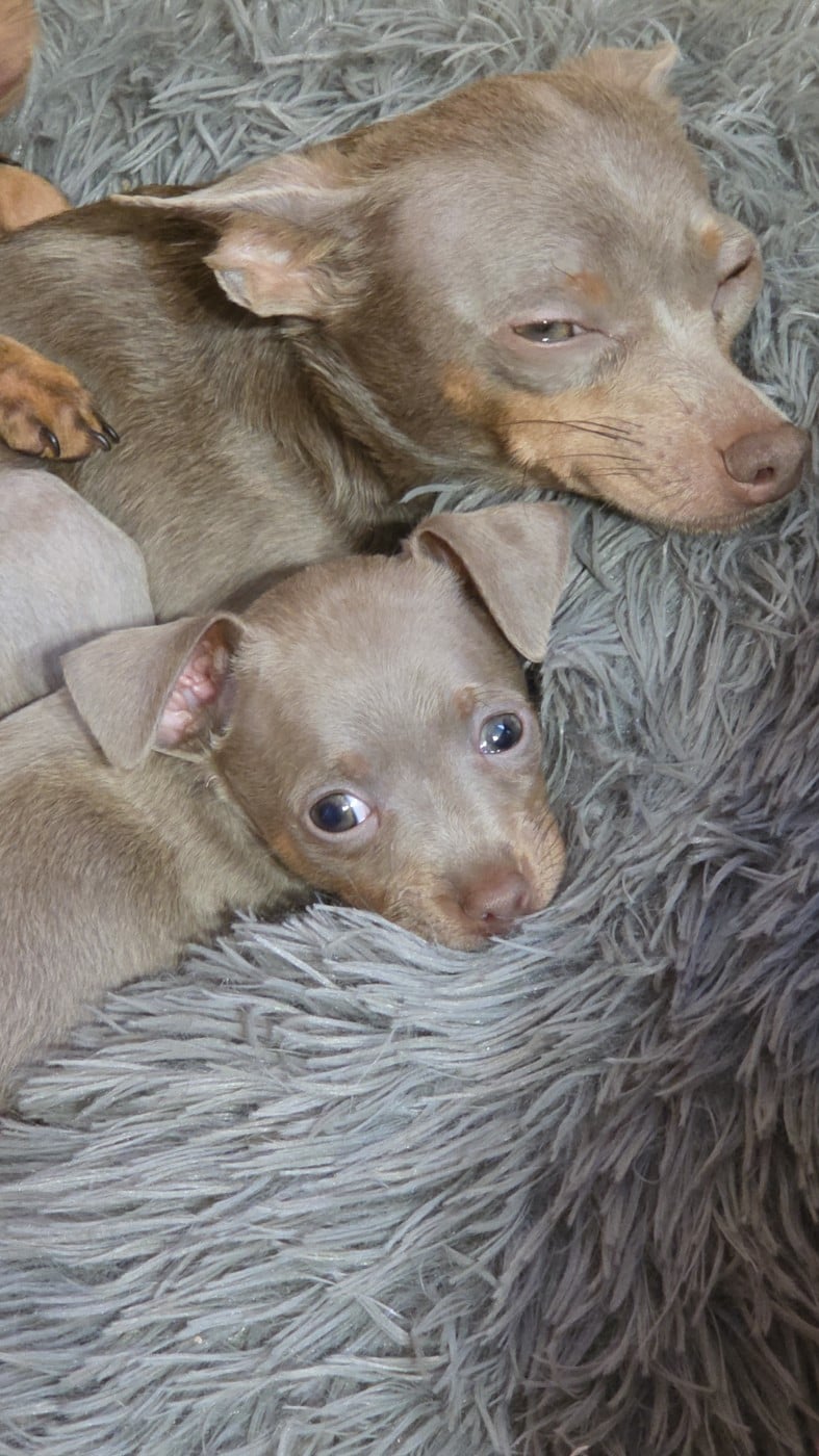 A......................