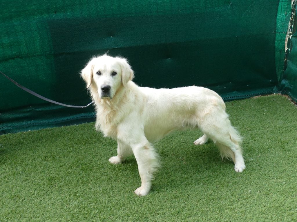 Titouan (Sans Affixe)