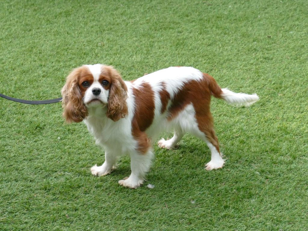 Ursula Du Temps Des Amazones