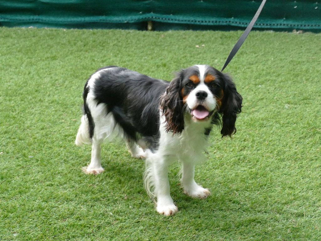 Una Du Temps Des Amazones