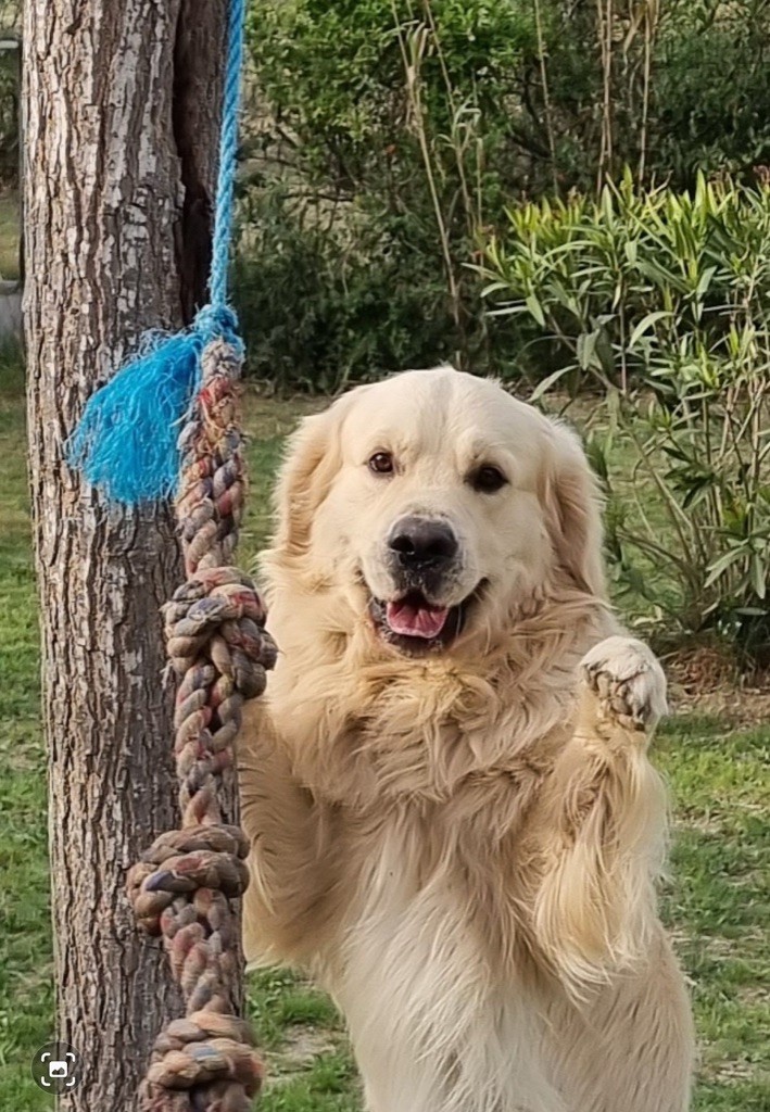 Publication : Du Temps Des Amazones