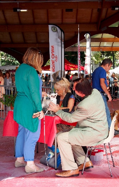 magic show Snow typhoon - 3-ème Excellent CLASSE JEUNE MALE