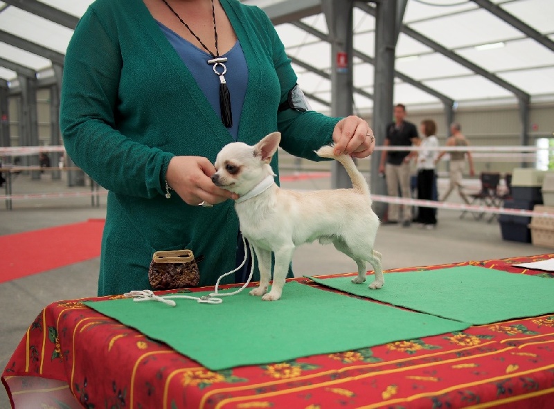 magic show Snow typhoon - 3-ème Excellent CLASSE JEUNE MALE
