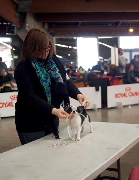 playful rich Only you - 1-er Très Prometteur (classe BABY FEMELLES), MEILLEUR BABY!!!