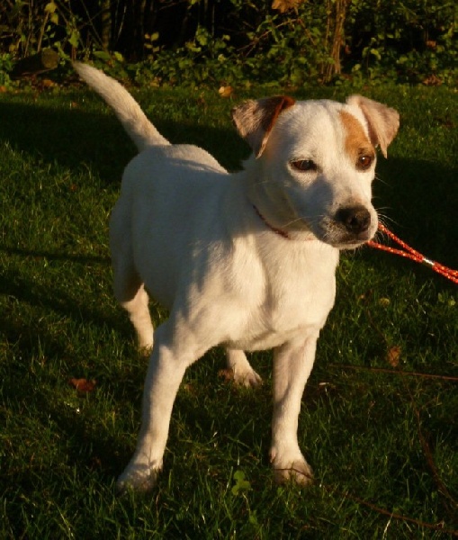 Publication : de la vallée du grand loup