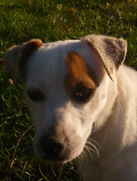 Publication : de la vallée du grand loup