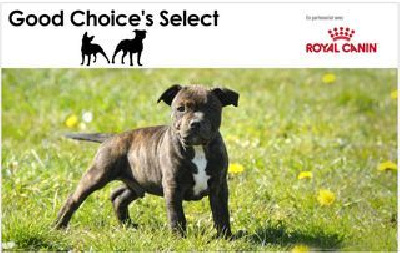 Good Choice's Select