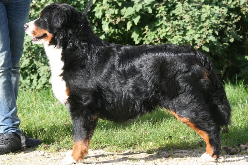 Publication : des Légendes de Maika