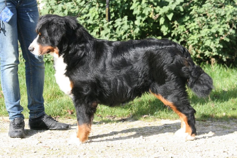 Publication : des Légendes de Maika