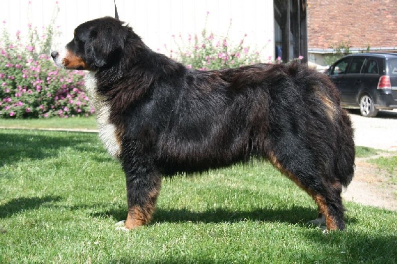 Publication : des Légendes de Maika