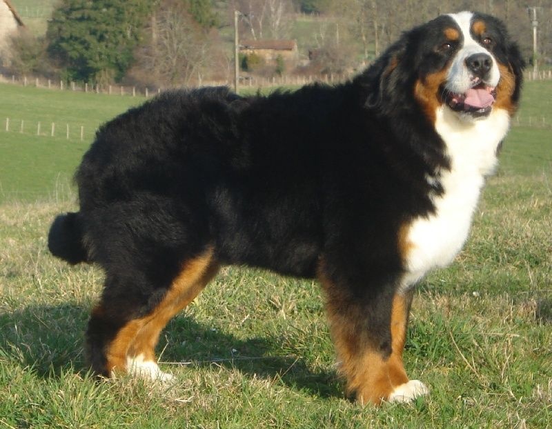 Publication : des Légendes de Maika Auteur : gonçalves gouny yannick