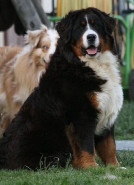 Publication : des Légendes de Maika