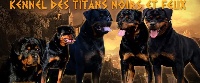 Des Titans Noirs Et Feux