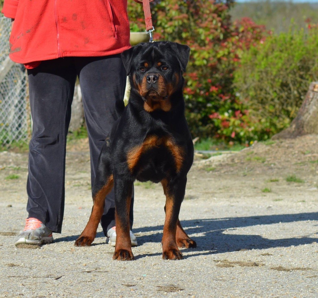 Nawak Des Titans Noirs Et Feux - V2 classe jeune
