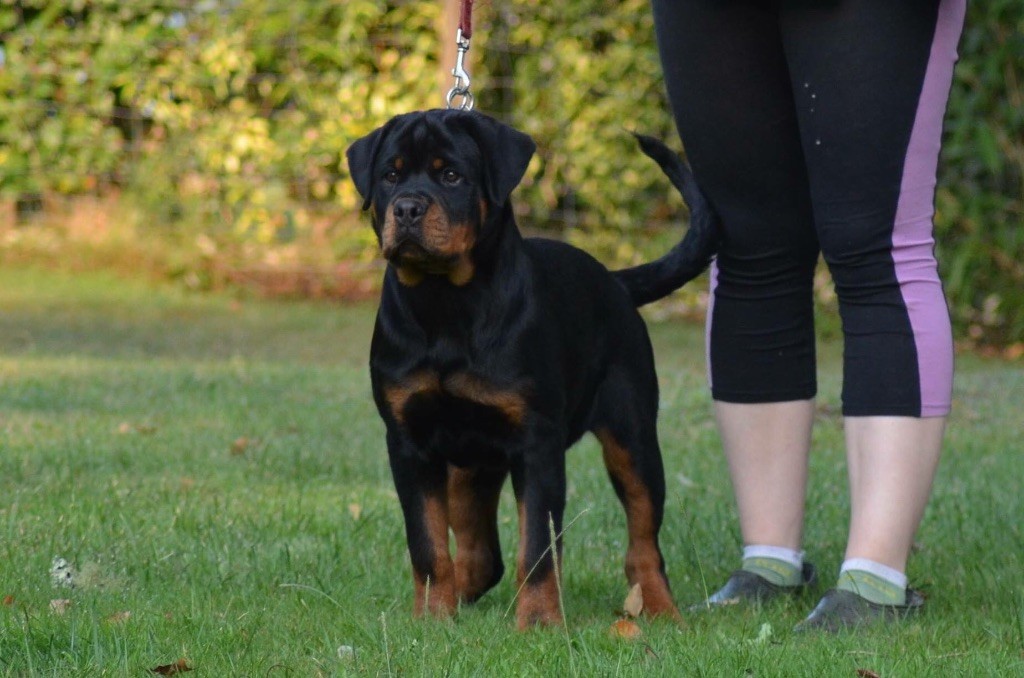 Nawak Des Titans Noirs Et Feux - Vp1 best baby