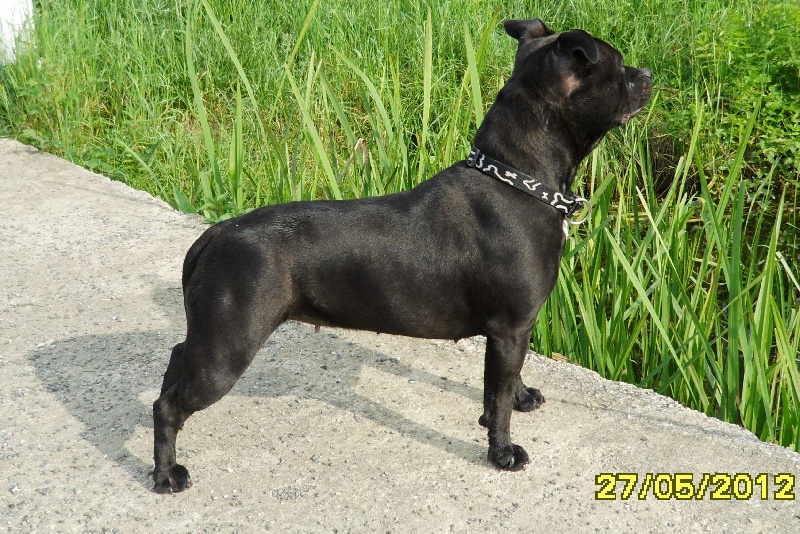 Publication : Des Terres Maloya