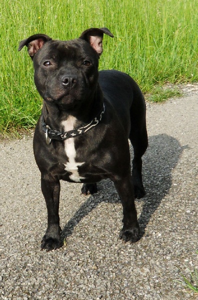 Publication : Des Terres Maloya