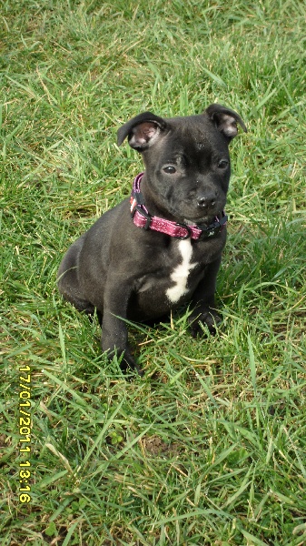 Publication : Des Terres Maloya