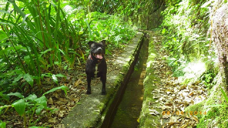 Publication : Des Terres Maloya