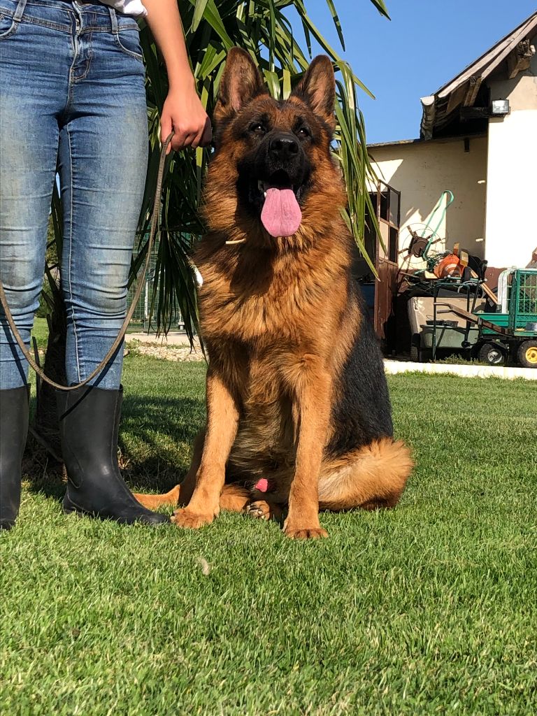 Publication : du val d'Anzin