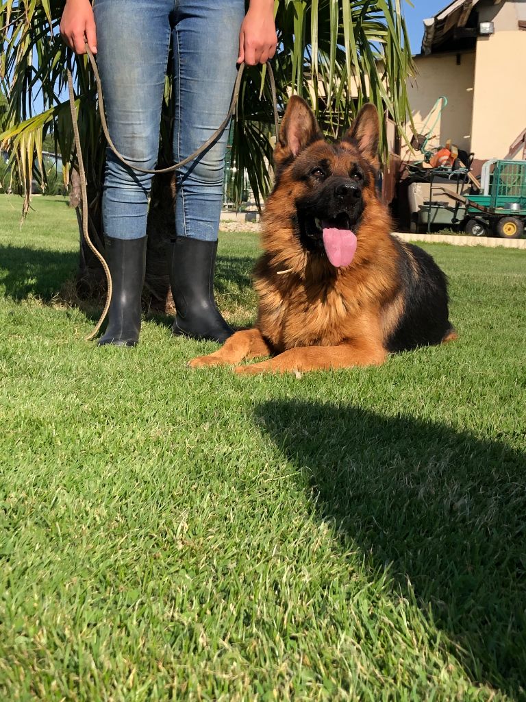 Publication : du val d'Anzin