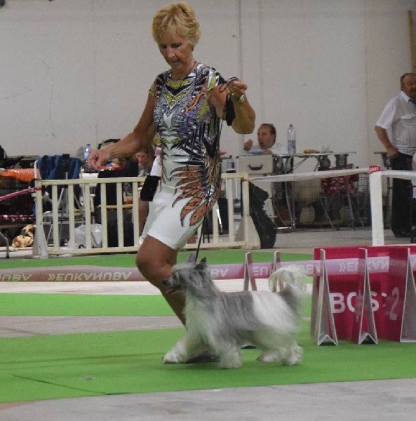 Publication : Des Zephyrs De L'olympe Auteur : sylvie Hébert