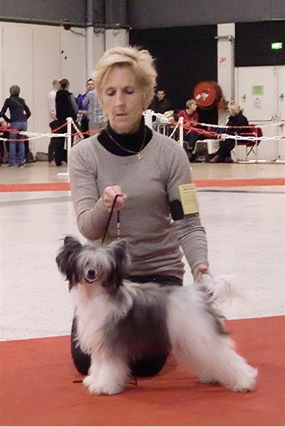 Publication : Des Zephyrs De L'olympe Auteur : sylvie Hébert