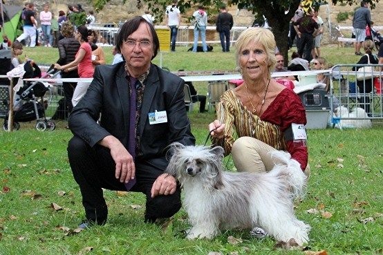 CH. Izzy pop Du pave de varennes - 1° EXC/CAC