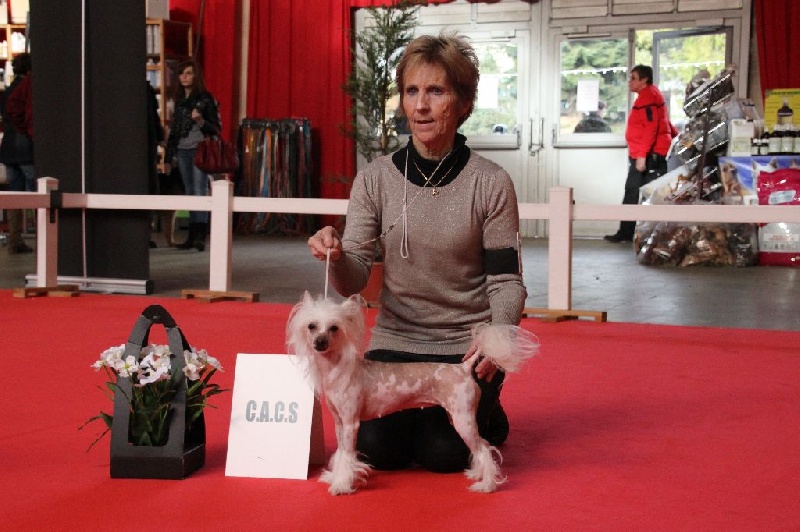 CH. Hotmail Little Champs - 1° EXC/CACS