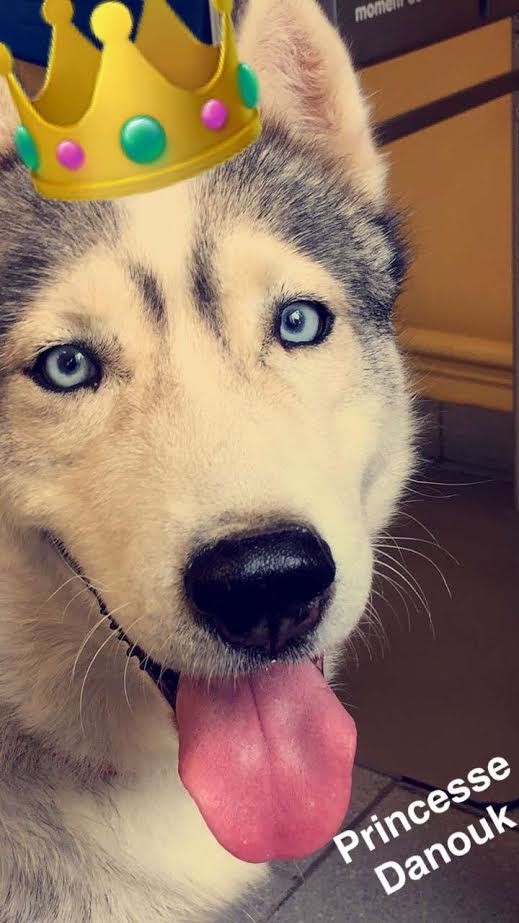 Publication : De La Fleur De Lys De La Ternoise Auteur : Susan