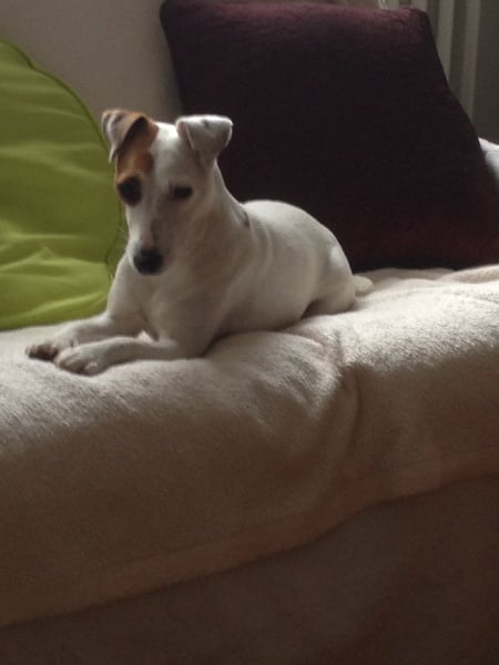 Publication : du val fleuri Auteur : Sandrine Trouvé-Griffon