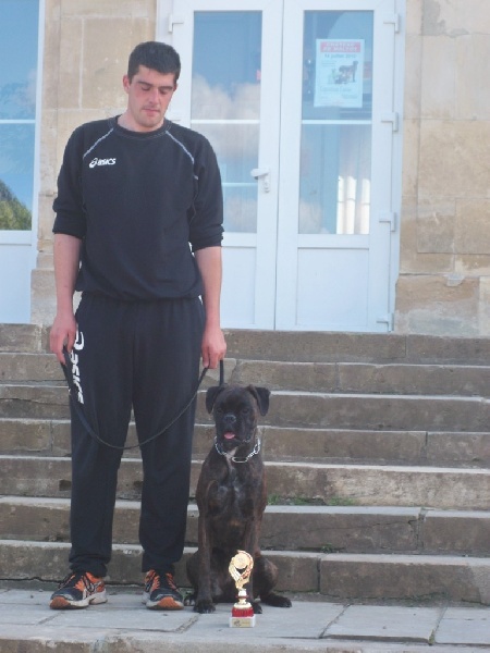 Goa Des Dunes De L'ouest - 1er EXCELLENT - Classe Intermédiaire -