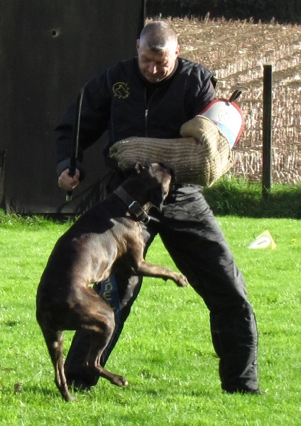 Goa Des Dunes De L'ouest - Obtention de l 'A.P.E.