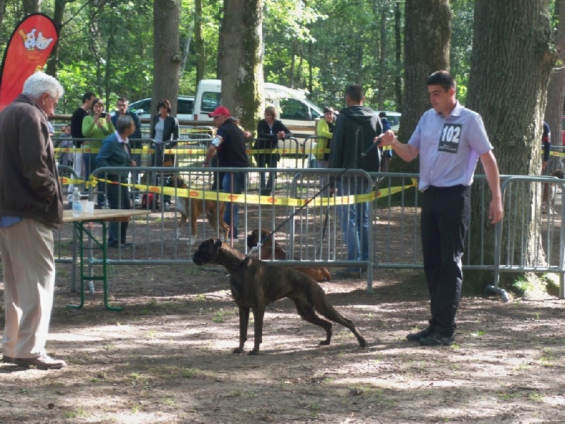 Goa Des Dunes De L'ouest - Très Bon - Classe Jeune -