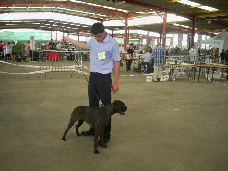 Goa Des Dunes De L'ouest - 1er EXCELLENT --- MEILLEUR DE RACE JEUNE ---