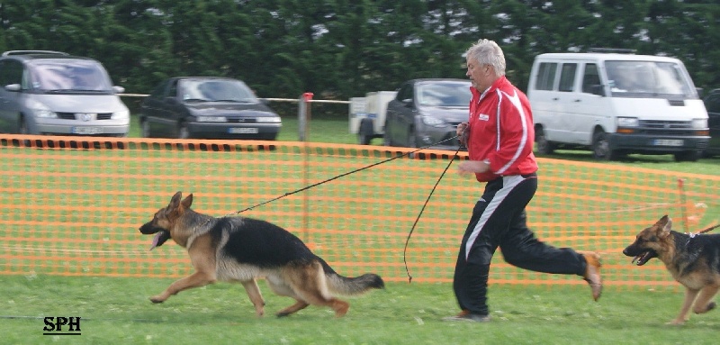 Hoyker haut mansard - PREMIERE¨PLACE 9/12