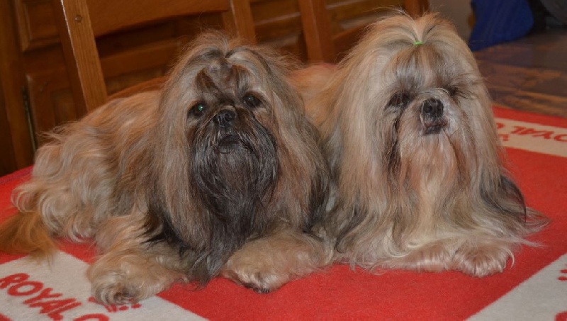 Publication : Des Perles De La Dame Bleue