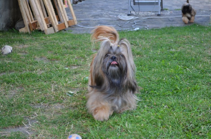 Publication : Des Perles De La Dame Bleue