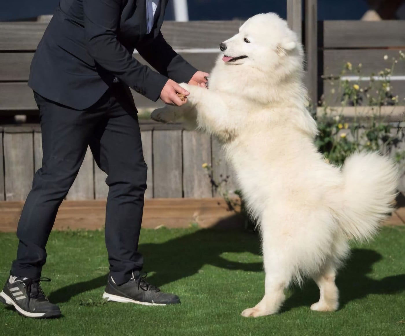 O'player's allblack laulala de Daybreak Northern