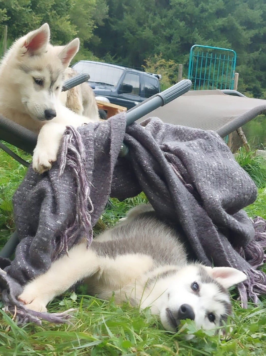 Valhalla rising dite Viviane Of Moonlight's Rhapsody