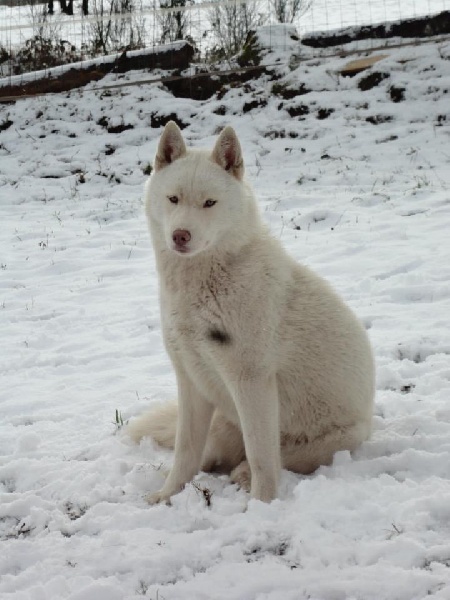 Publication : Of Moonlight's Rhapsody