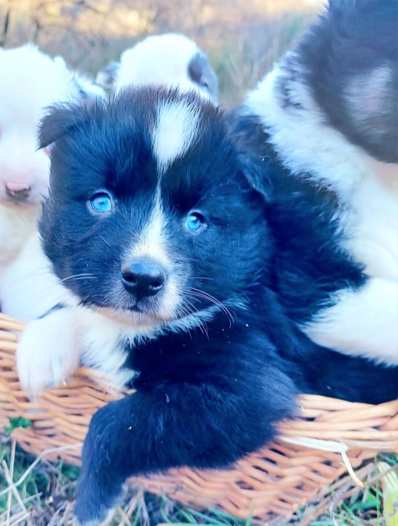 Via black mirror dit vroum vroum Of Moonlight's Rhapsody