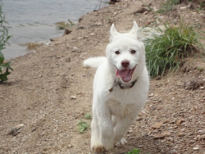 Publication : Of Moonlight's Rhapsody