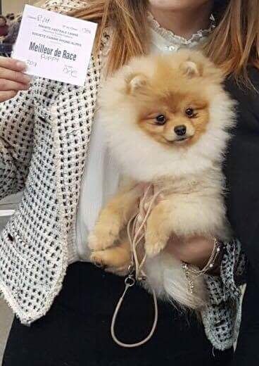 caletto Deep run easy peasy - MEILLEUR PUPPY