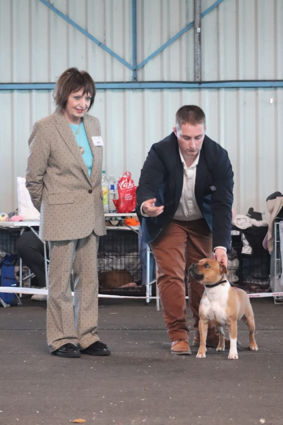 CH. & multi jch. the french connection House Of Warrior - 1 ER EXCELLENT CLASSE CHAMPION + CACIB + MEILLEURE DE RACE SEXE OPPOSÉ