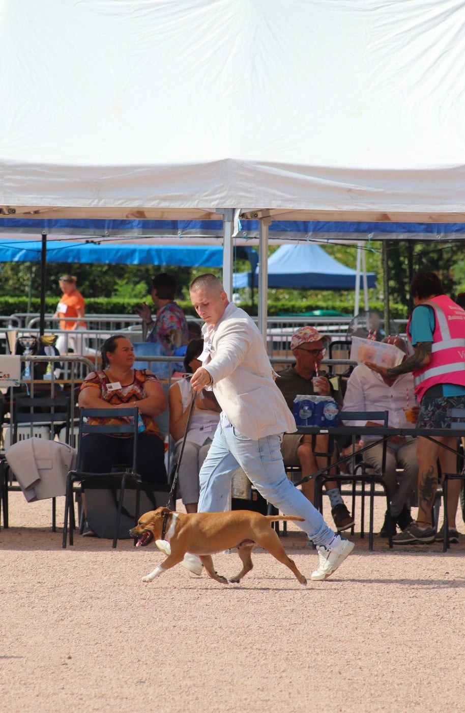 CH. & multi jch. the french connection House Of Warrior - 1 ER EXCELLENT CLASSE CHAMPION + MEILLEURE DE RACE