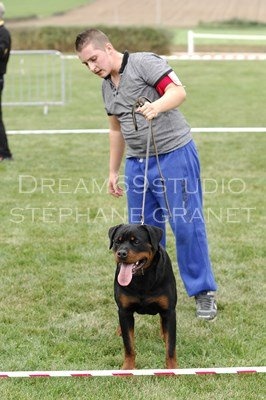 Hepsy vom Hause Bonnier - 2 eme Excellent sur 17 femelles