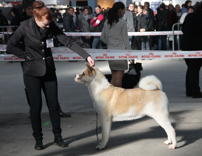 Grown to be the best Ultimate signature - 1ere exc Classe ouverte