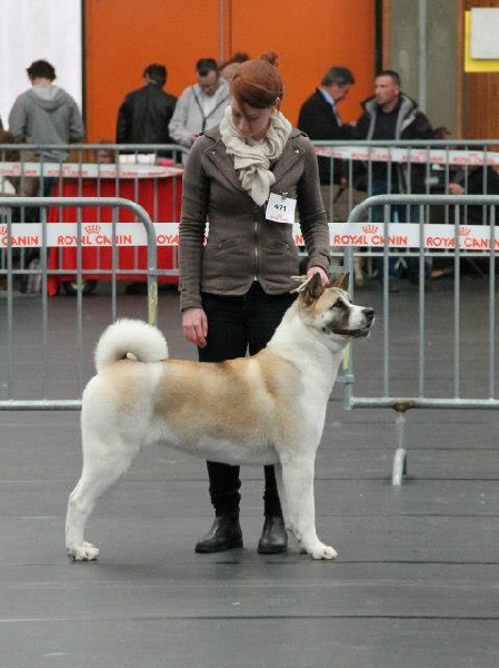 Grown to be the best Ultimate signature - R.C.A.C.S